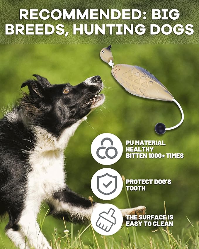 Dog Bumper for Water Retrieving - Bionic Dove Dog Training Dummy with Floating and Tear - Hunting Dog Toy - Durable Bite-Resistant Toy for Hound Training(Dove)