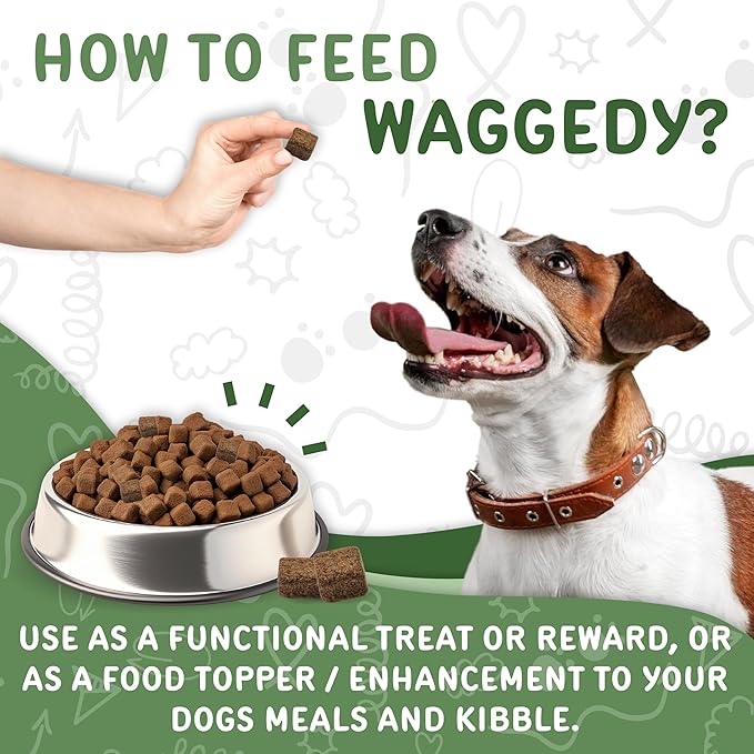 waggedy Calm Max — Calming Chews for Dogs for Balanced Behaviour & Anxiety Relief — Calming Dog Treats for Travel, Fireworks & Separation — Dog Supplements & Vitamins (60 Chews)