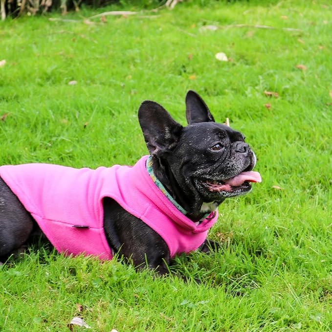 JACKO & CO - Fleece Vest Dog Sweater with Leash Ring - Soft, Warm & Lightweight Pullover Coat for Small & Medium Dogs, Puppies & Cats - Cozy Fall/Winter/Spring Pet Jacket (Pink, XX-Large 25-35lbs)