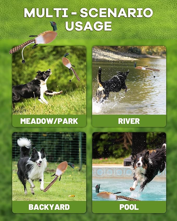 Pheasant Dummy Bumper Toys for Hunting Retriever Dog Training, Training Dummy with Floating and Tear-Resistant Design for Water and Land Retrieval Training