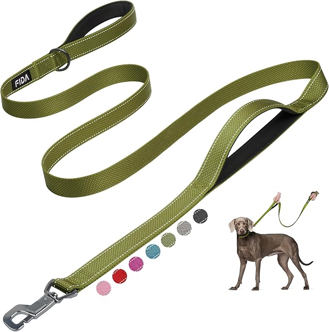 Fida 6 FT Heavy Duty Dog Leash with 2 Comfortable Padded Handles, Traffic Handle & Advanced Easy Snap Hook, Reflective Walking Lead for Large, Medium & Small Breed, Green