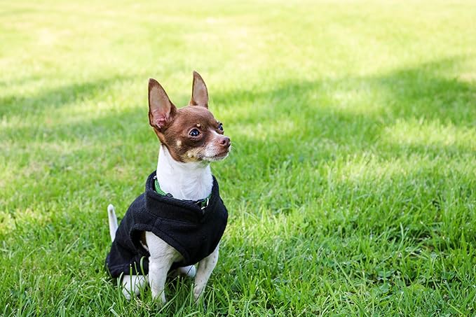 JACKO & CO - Fleece Vest Dog Sweater with Leash Ring - Soft, Warm & Lightweight Pullover Coat for Small & Medium Dogs, Puppies & Cats - Cozy Fall/Winter/Spring Pet Jacket (Black, XS 2-4lbs)