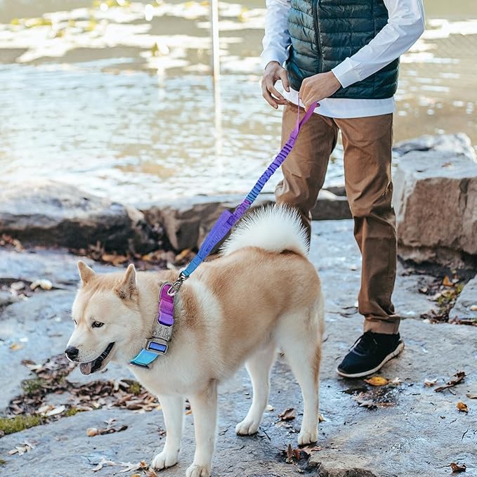 Tactical Nylon Dog Collar - Heavy Duty Metal Buckle with Handle for Dog Training, with Patches (Gradient 1, L)