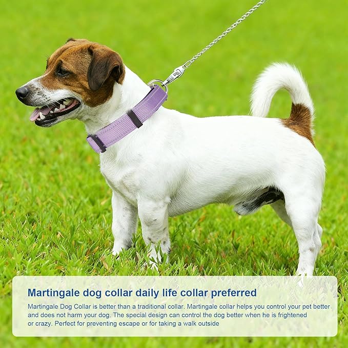 Reflective Martingale Dog Collars. Dog Collar with Quick Release Buckle. Adjustable Soft Padded Breathable Nylon Pet Collar Suitable for Puppies for Small Medium Large Dogs.