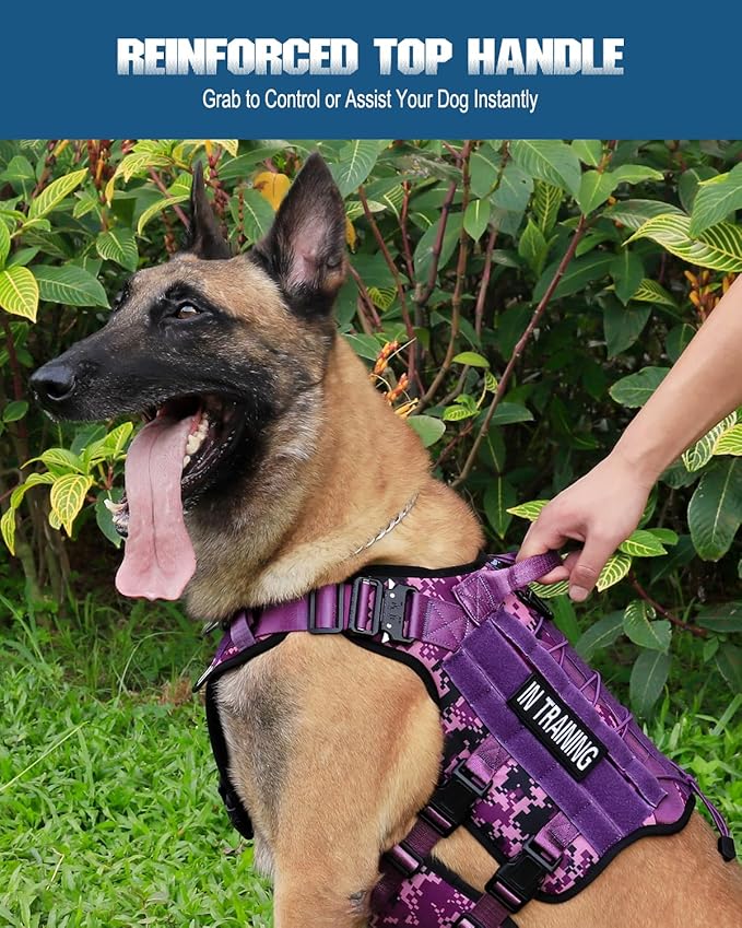 PETNANNY Tactical Service Dog Vest - No-Pull Emotional Support Harness with Hook & Loop Patches & Molle System for Training & Hunting (Purple Camo, Medium)