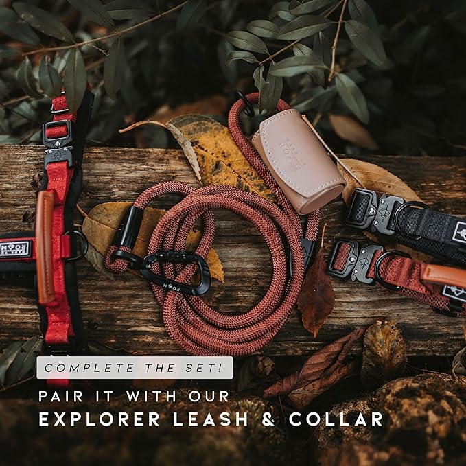 MADE TO ROAM Premium Explorer Harness - Y-Shaped Dog Harness with Adjustable Durable Nylon, Soft Padding, Metal Buckles and Leather Handle for Small, Medium, Large Dogs (Arizona Heartbeat, Size 7)