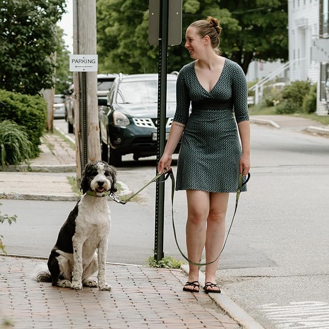 Fida 6 FT Heavy Duty Dog Leash with 2 Comfortable Padded Handles, Traffic Handle & Advanced Easy Snap Hook, Reflective Walking Lead for Large, Medium & Small Breed, Green