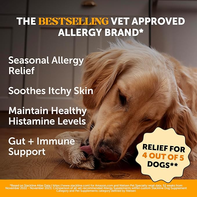 Pet Honesty Dog Allergy & Itch Relief - Advanced Itch Supplement with Probiotics for Dogs - Immune Support & Skin Relief for Seasonal Allergies - Natural Itchy Skin & Paw Relief - (Salmon, 180 Ct)