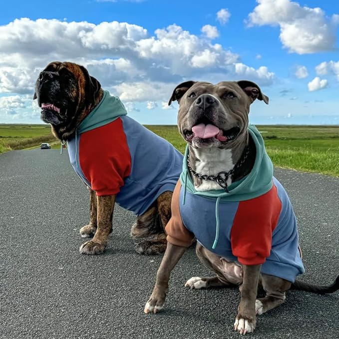 Spark Paws Dog Hoodie – Premium Dog Sweater for Small, Medium, and Large Dogs | Warm Outfits for French Bulldogs, Pitbull, Puppy, Winter Jacket Alternative - Alpine - S