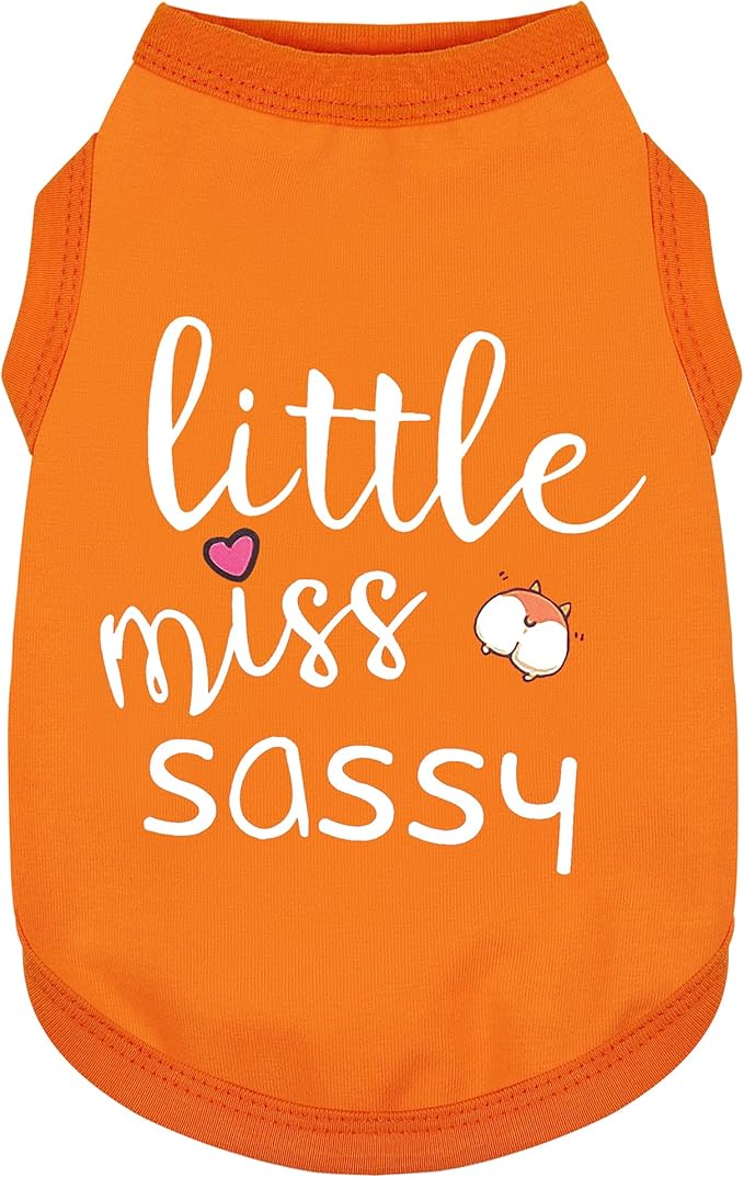 Paiaite Dog Clothes Fashionable Sleeveless Pet Vest: 'Little Miss Sassy' Printed Cotton Dog Shirt, Ideal for Small, Medium, and Large Breeds, Ensuring Comfort and Breathability Orange 3XL