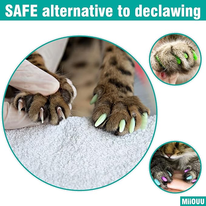 100 pcs Cat Nail Caps | Cat Claw Covers with Adhesives and Applicators | Black (XS)