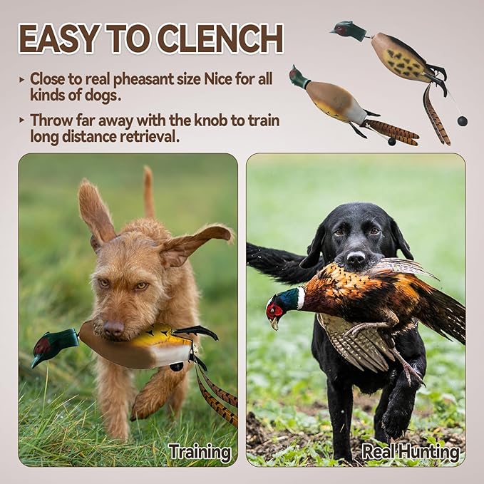 Duck Dog Training, Pheasant Dog Training Dummies for Dog Training Hunting Dog Accessories Dogs Training Dummy Bumper Retriever Floating De-ad Bird Fowl Trainer Hunting Retriever (Pheasant)