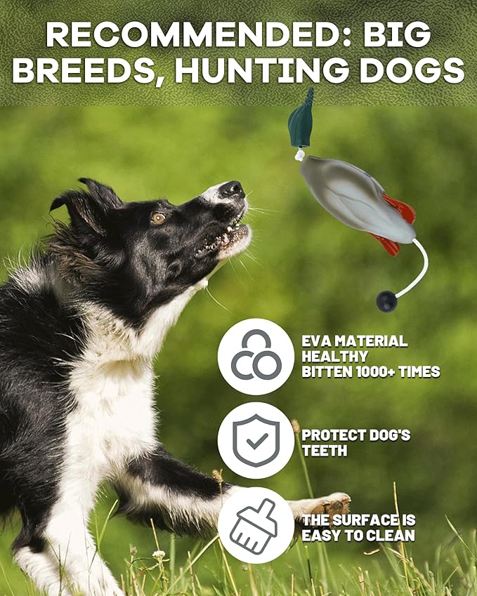 Duck Dummy Bumper Toys for Hunting Retriever Dog Training, Training Dummy with Floating and Tear-Resistant Design for Water and Land Retrieval Training
