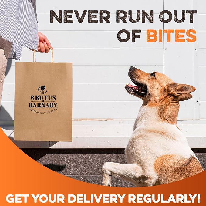 BRUTUS & BARNABY Beef Lung Bites for Dogs - 100% Single Ingredient Dog Treat Made in USA - Protein Packed, Crunchy, Healthy Dog Treats - Grain Free, Rawhide Free, No Additives