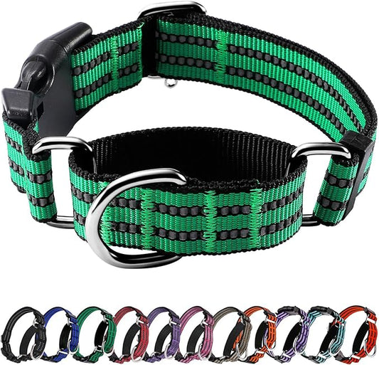Hikiko Martingale Dog Collars Reflective Nylon Dog Collar with Quick Release Buckle Adjustable Training No Slip Dog Collar (Large, Green)
