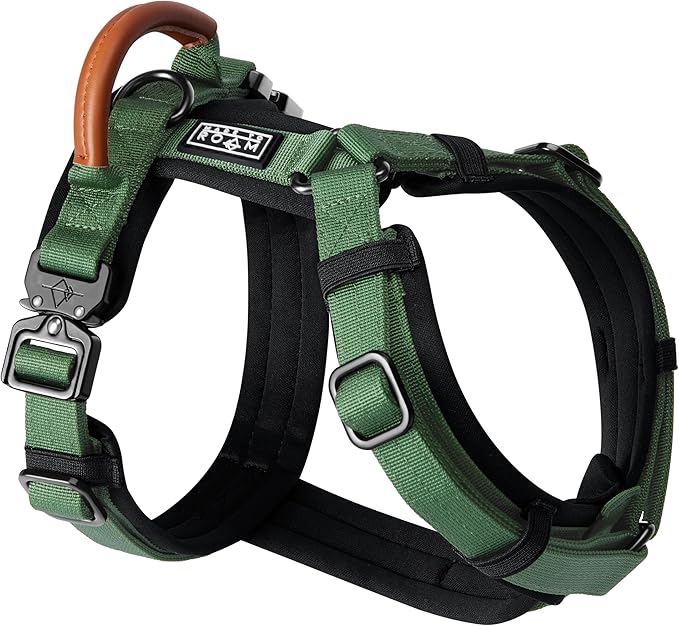 MADE TO ROAM Premium Explorer Harness - Y-Shaped Dog Harness with Adjustable Durable Nylon, Soft Padding, Metal Buckles and Leather Handle for Small, Medium, Large Dogs (Oregon Haze, Size 6)