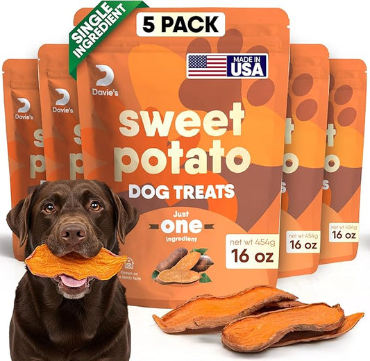 Davie's Sweet Potato Dog Treats - Healthy Dog Chews, Low Fat, Made in USA, 1 lb Bag - Pack of 5