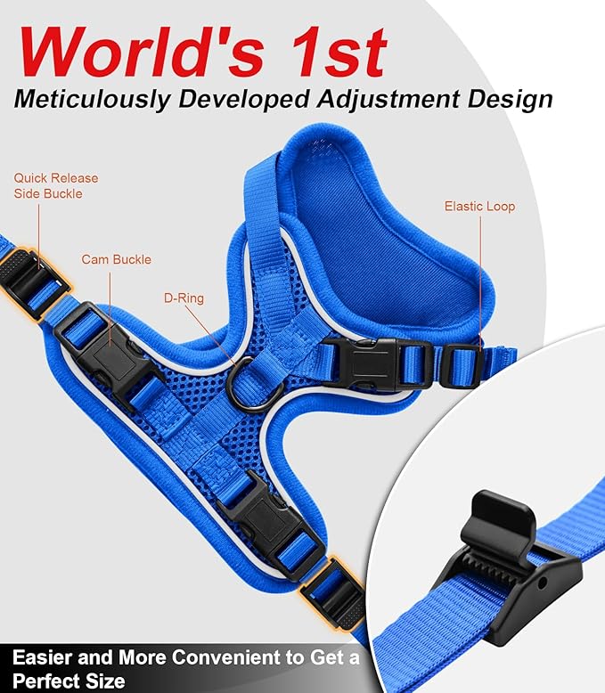 Cat Harness and Leash for Walking Escape Proof Soft Adjustable Cat Leash Breathable Comfortable Vest Easy to Wear Kitten Harness for Outdoor Travel Blue S