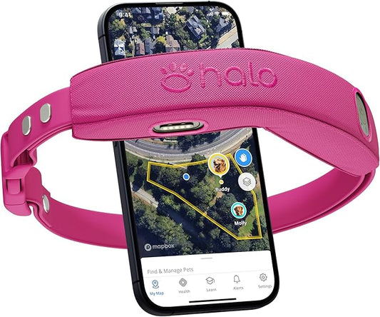 Halo Collar 4, GPS Wireless Dog Fence & Dog Training Collar with GPS Tracker, Subscription Required, Waterproof, Orchid, One Size