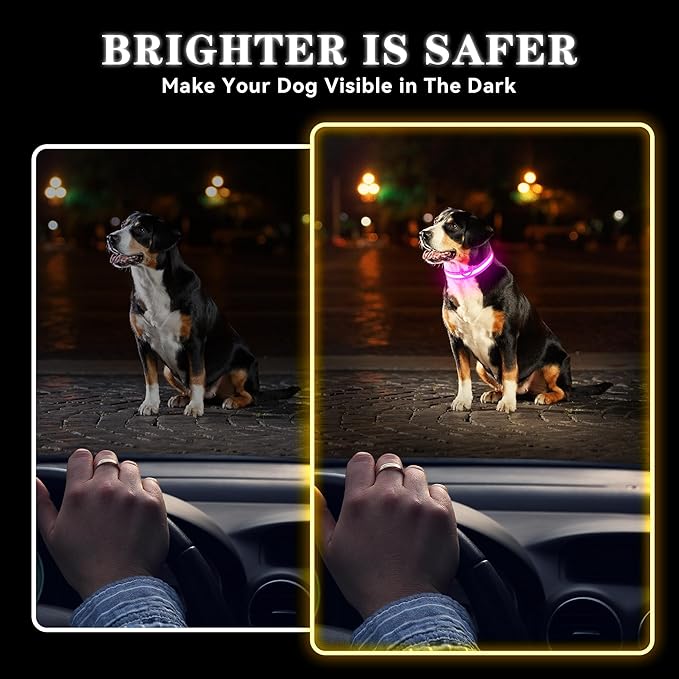 LED Light Up Dog Collar Rechargeable Waterproof, Glow in Dark Dog Collar, Lighted Dog Collars for Night Walking Charging USB, Safety for Small Medium Large Dogs (S, Pink)