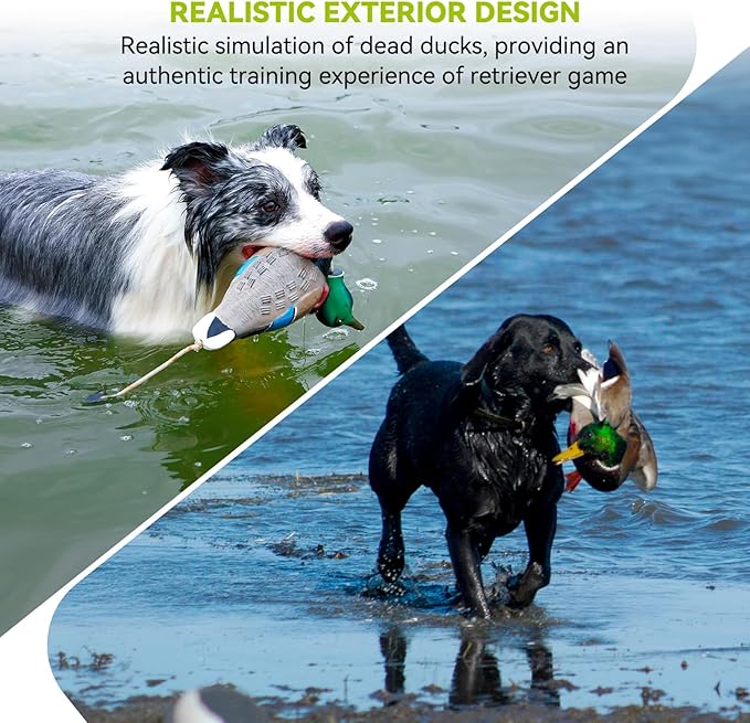 Duck/Pheasant Dummy, Mimics Dead Duck/Pheasant Bumper for Gun Dog Training Scent Waterfowl Hunting Retriever, Outdoor Mallard Retrieval Interactive Train Toys, Floating & Durable