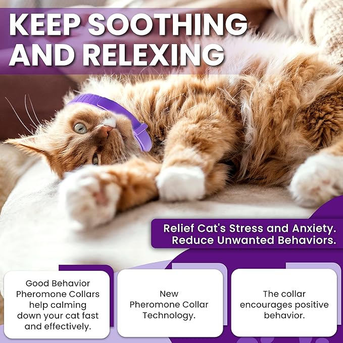 Calming Collar for Cats: Pheromone-Infused Behavior Support, Long-Lasting 30-Day Effect, Adjustable & Waterproof, 4-Pack (Purple)