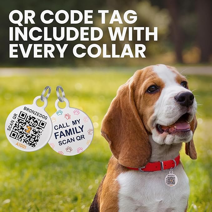Rolled Leather Dog Collar Soft Round Collars, ID Tag for Small Medium Large Dogs (7-10 inch, White & Silver Buckle)