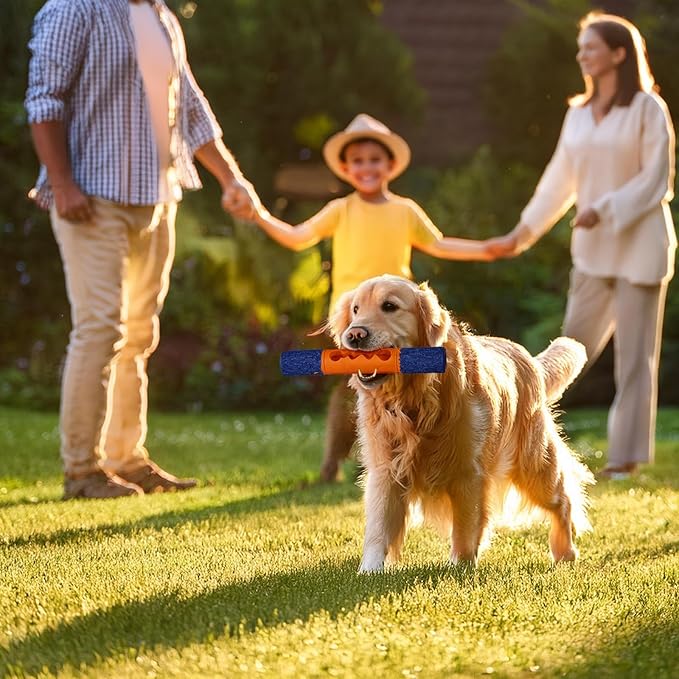 Stick Interactive Dog Toy 9” in Outdoor Dog Toy for Aggressive Chewers Tough Natural Rubber Chew Toys (Blue&Orange)