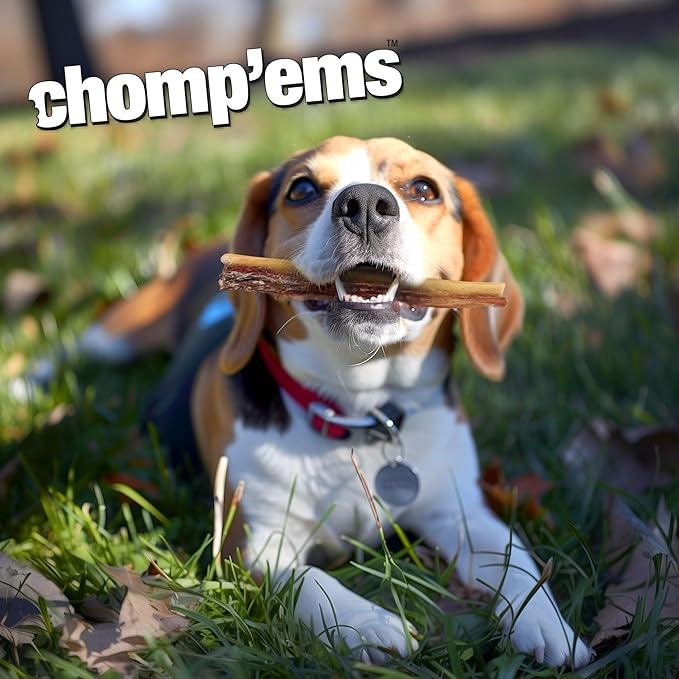 Chomp'ems Purehide Sticks Healthy Natural Rawhide Dog Chew, 12 oz