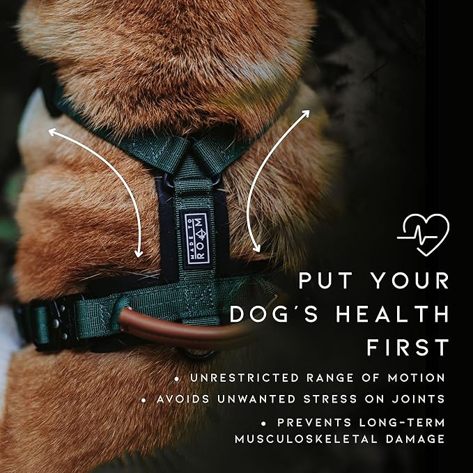 MADE TO ROAM Premium Explorer Harness - Y-Shaped Dog Harness with Adjustable Durable Nylon, Soft Padding, Metal Buckles and Leather Handle for Small, Medium, Large Dogs (Utah Glow, Size 2)