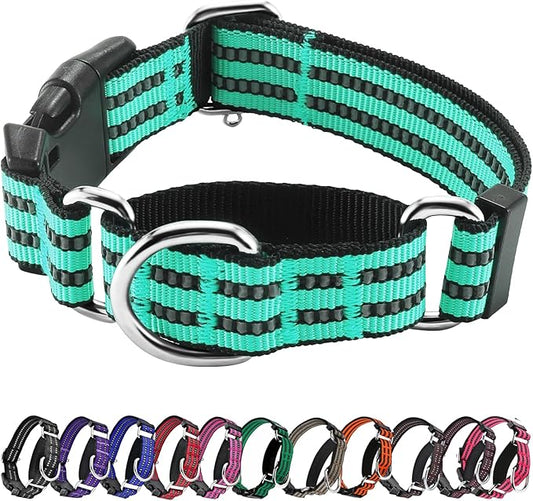Hikiko Martingale Dog Collars Reflective Nylon Dog Collar with Quick Release Buckle Adjustable Training No Slip Dog Collar (Small, Turquoise)