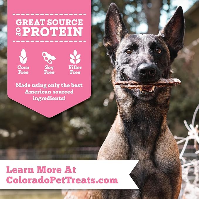 Fresh Field Pork & Apple Jerky Chips, 5 oz – All-Natural Dog Treats, USA Made, No Fillers, Supports Digestion & Nerves