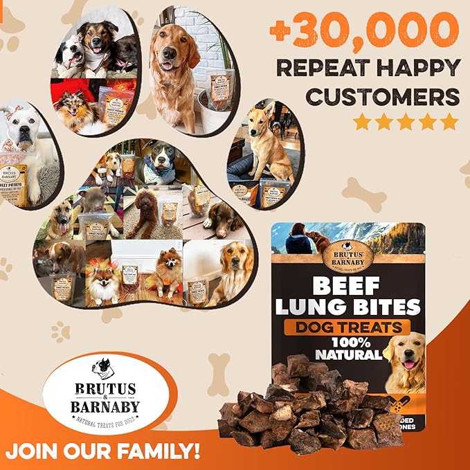 BRUTUS & BARNABY Beef Lung Bites for Dogs - 100% Single Ingredient Dog Treat Made in USA - Protein Packed, Crunchy, Healthy Dog Treats - Grain Free, Rawhide Free, No Additives