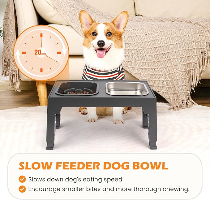 Heeyoo Elevated Dog Bowls, 5 Adjustable Heights Raised Pet Bowls, Adjusts to Height 3.2" to 12.2" for Small Medium Large Dogs