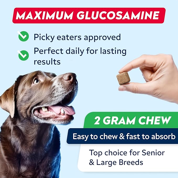 Senior Advanced Glucosamine Joint Supplement for Dogs - Green Lipped Mussel & Collagen - Large Breeds - Hip & Joint Health - Bacon Flavor - 120 Chews