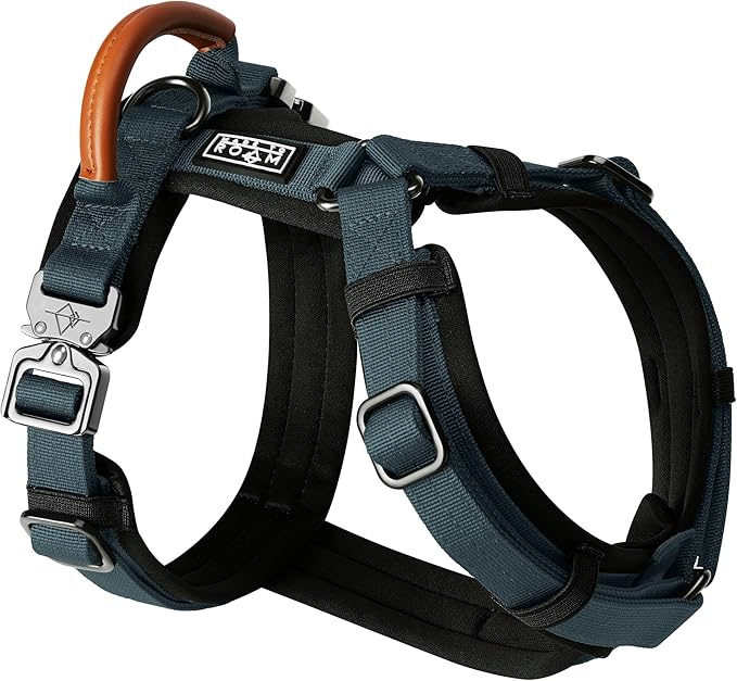 MADE TO ROAM Premium Explorer Harness - Y-Shaped Dog Harness with Adjustable Durable Nylon, Soft Padding, Metal Buckles and Leather Handle for Small, Medium, Large Dogs (Colorado Nightsky, Size 5)