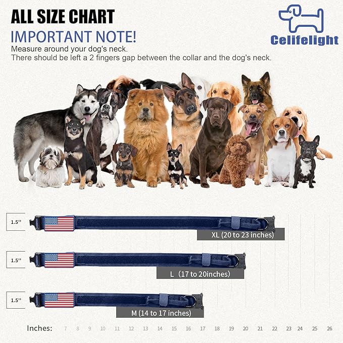 Tactical Military Collar - Adjustable Nylon, Heavy Duty Metal Buckle with Handle for Dog Training, with Patches (Blue, XL)