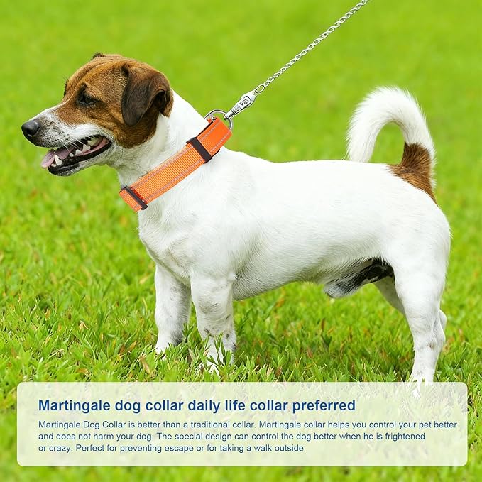 Reflective Martingale Dog Collars. Dog Collar with Quick Release Buckle. Adjustable Soft Padded Breathable Nylon Pet Collar Suitable for Puppies for Small Medium Large Dogs.