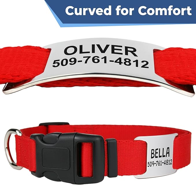 GoTags Dog Collar with Personalized Nameplate, Adjustable Dog Collar with Custom Engraved Slide On Pet ID Tag in Stainless Steel, Silent, No Noise Dog Tag Small to Large Unique Colors