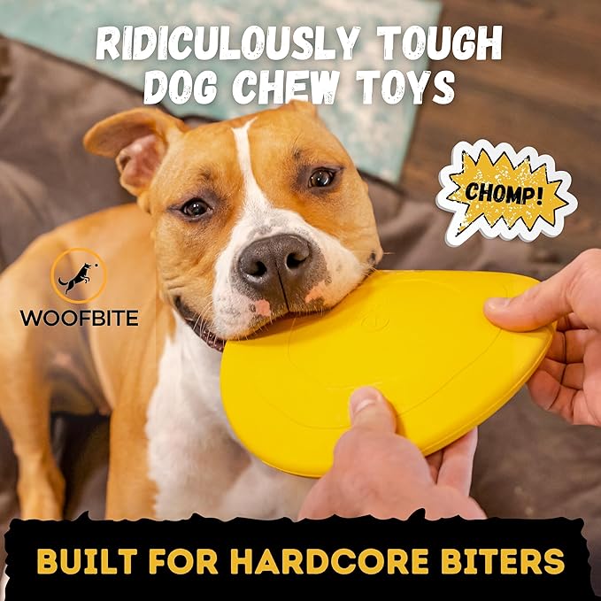 "Indestructible Dog Disc - Lifetime Replacement - Medium & Large Breed - Ultra Durable for Aggressive Chewers - Tough & Strong, Heavy Duty Natural Rubber Toy - Fetch, Tug, & Chew - 8in