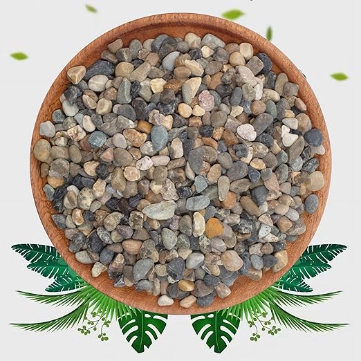 10lbs Coarse Sand Stone - Succulents and Cactus Rocks, Decorative Gravel for Plants and Vases Fillers，Terrarium, Fairy Gardening, Natural Stone Top Dressing for Potted Plants.
