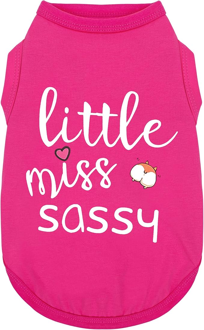 Paiaite Dog Clothes Fashionable Sleeveless Pet Vest: 'Little Miss Sassy' Printed Cotton Dog Shirt, Ideal for Small, Medium, and Large Breeds, Ensuring Comfort and Breathability Rose Red L
