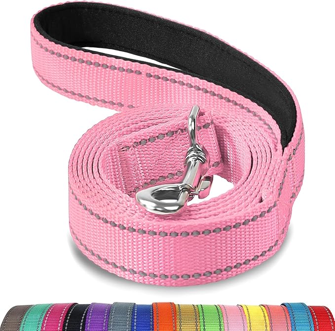 Joytale Double-Sided Reflective Dog Leash, 4 FT, Padded Handle Nylon Heavy Duty Leashes for Small & Medium Dogs Walking, Pink