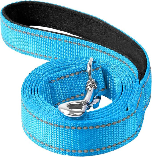 4FT Reflective Nylon Dog Leash with Soft Padded Handle for Walking, Running and Training, Supports Small Medium and Large Dogs (Auqa Blue, 3/4 Inch Wide)