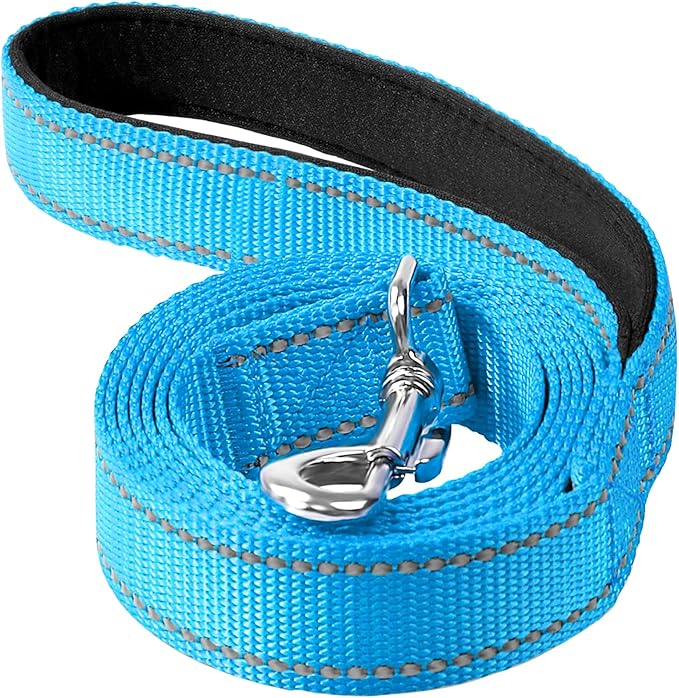 6FT Reflective Nylon Dog Leash with Soft Padded Handle for Walking, Running and Training, Supports Small Medium and Large Dogs (Auqa Blue, 1 Inch Wide)