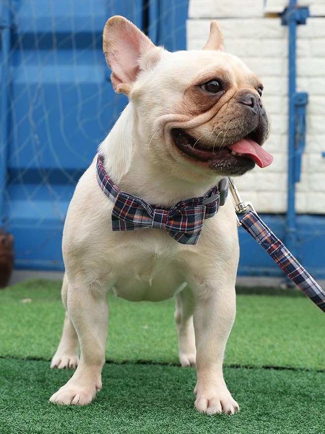 Lionet Paws Dog and Cat Collar with Bowtie Grid Collar Plastic Buckle Light Adjustable Collars for Small Medium Large Dogs