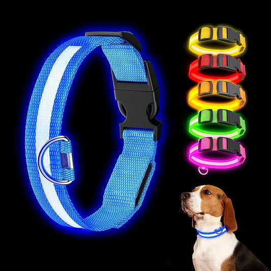 LED Light Up Dog Collar Rechargeable Waterproof, Glow in Dark Dog Collar, Lighted Dog Collars for Night Walking Charging USB, Safety for Small Medium Large Dogs (S, Blue)