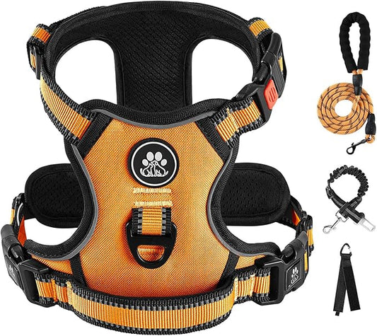 IVY&LANE No Pull Dog Harness for Small Dogs, Vest Harness with Leash, Safety Belt and Storage Strap, Fully Adjustable, 360?Reflective Strip, Soft Handle (Orange, S)