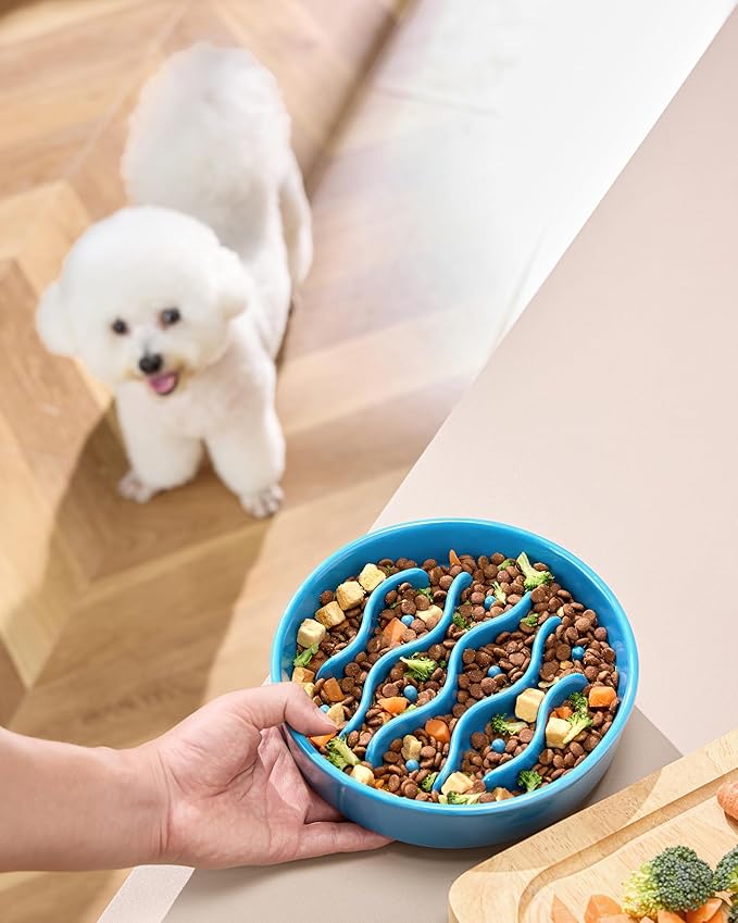 Ceramic Slow Feeder Dog Bowls for Medium and Large Dogs, 2.0 Cups Dog Slow Feeder for Fast Eater, 30oz, 8in, Baby Blue