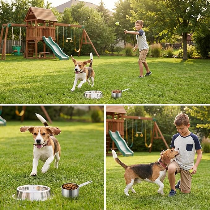 KEAWELL Premium Dog and Cat Food Measuring Cup 18/10 Stainless Steel (1, 1 Cup)